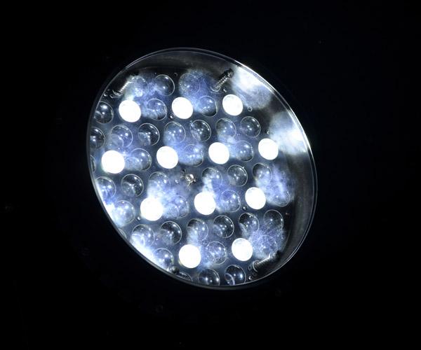 Des im Freien Berufs-LED Stadium der Cree-Lampen-LED Gleichheits-lauten Summens, das IP65 wasserdicht beleuchtet